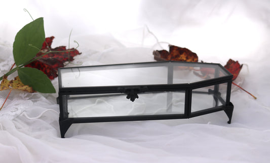 Glass Coffin Trinket Box | Casket Box Victorian Halloween DIY Decor | Oddities & Curiosities Gothic Witchy Home Decor | Dark Taxidermy Art