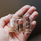 Curiosity Vials Set of 7, Curated Set | Real Ethically Sourced Taxidermy, Animal Bones, Insects, Fossils, and Mystery | Specimen Jars
