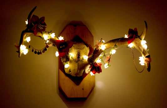 Lighted Antler Mount | Bejeweled Flowered Vintage Deer Display, Gothic Christmas Decor | Goblincore Oddities & Curiosities, Dark Cottagecore