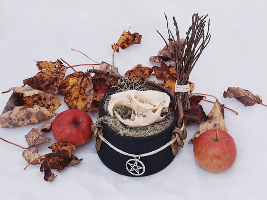 Witchy Cauldron! | Real Muskrat Skull in a Cauldron & Besom Broom | Witchy Halloween Art | Taxidermy Goblincore Gothic Home Decor | Oddities