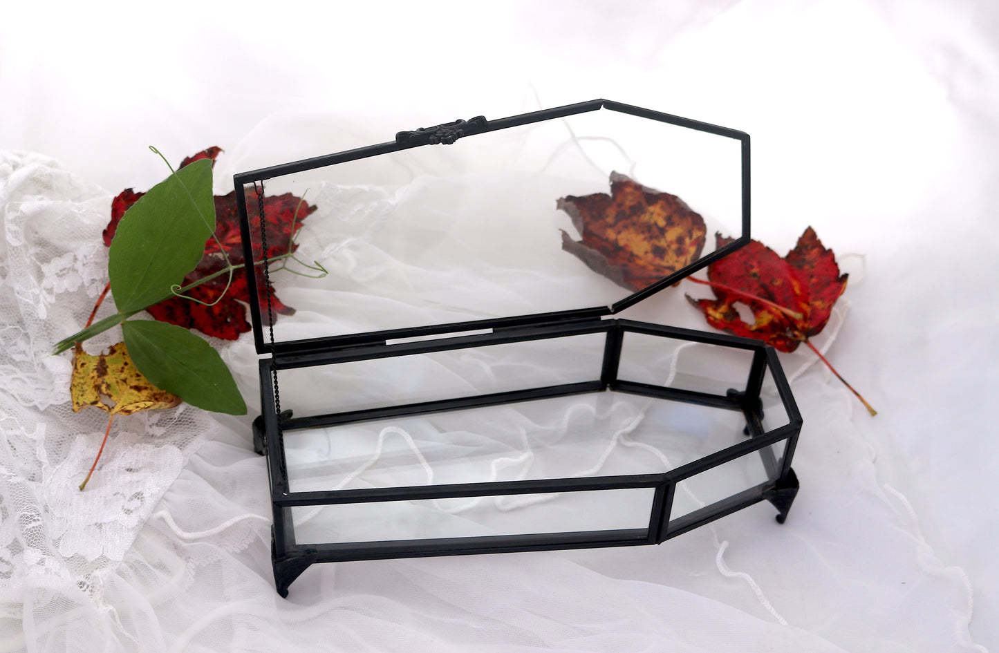 Glass Coffin Trinket Box | Casket Box Victorian Halloween DIY Decor | Oddities & Curiosities Gothic Witchy Home Decor | Dark Taxidermy Art