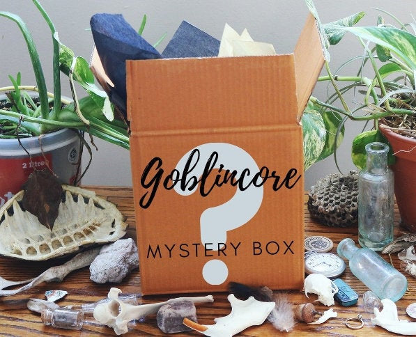 Goblincore Mystery Box | Set of 24 Surprise Items | Goblin Gift Grab Bag | Real Animal Bones, Feathers, Fossils, Antique Trinkets & More!