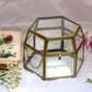 Glass Display Box | DIY Craft Supplies | Empty Glass Geometric Terrarium for Reception, Keepsake, Plant, Wedding, Card | Hexagon Storage