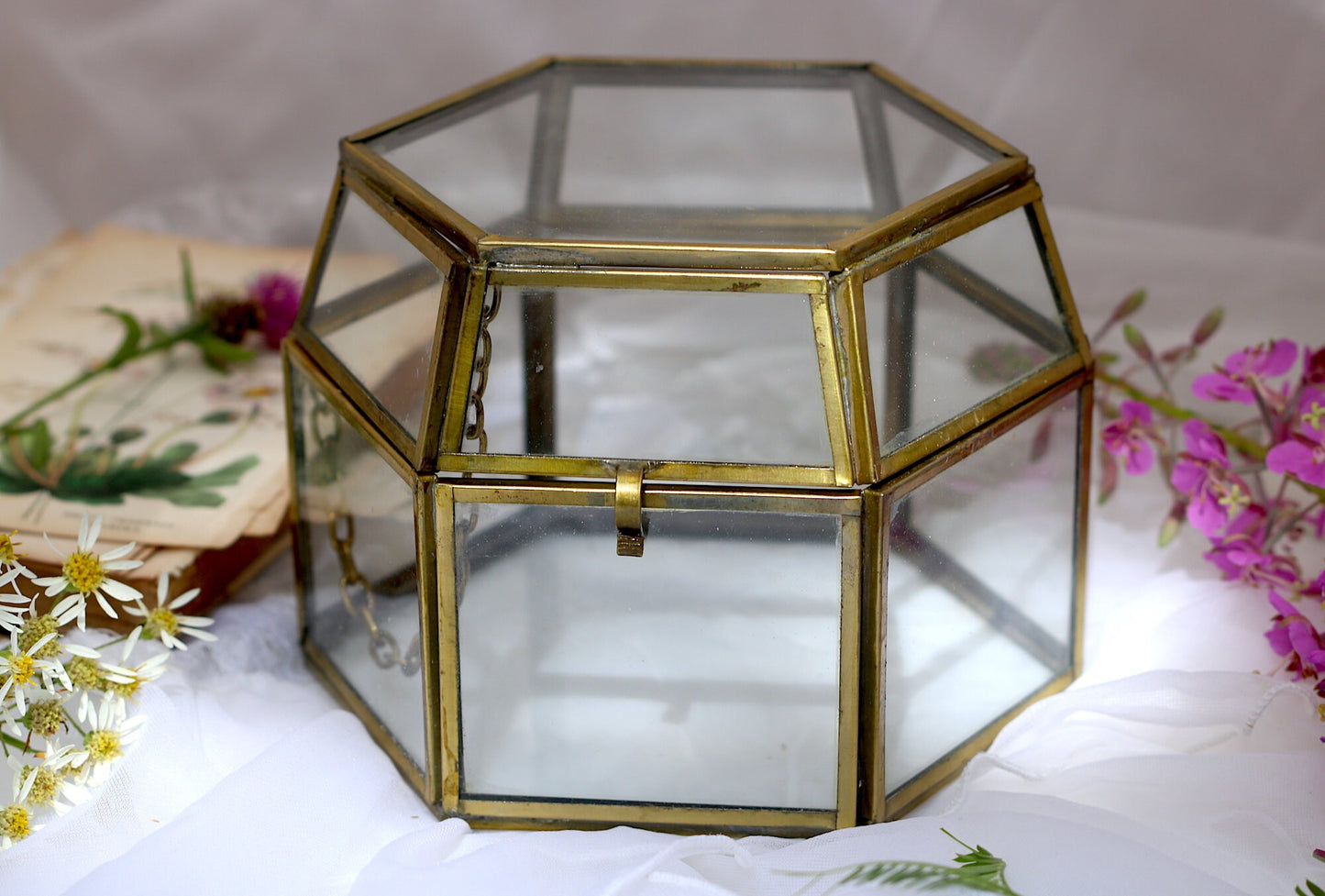 Glass Display Box | DIY Craft Supplies | Empty Glass Geometric Terrarium for Reception, Keepsake, Plant, Wedding, Card | Hexagon Storage