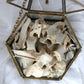Box of Bones! Real Animal Bones, Ethically Sourced Taxidermy | Oddities & Curiosities, Goblincore Wunderkammer