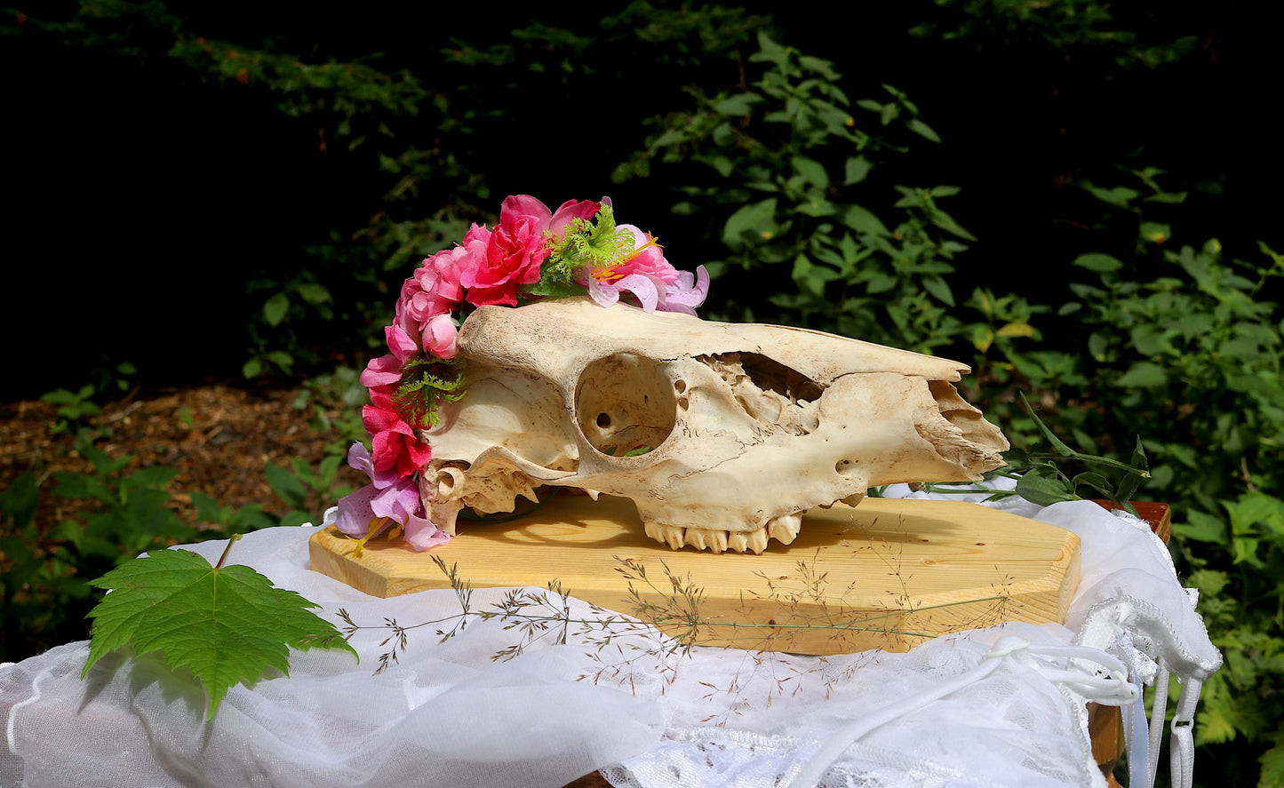Framed Deer Skull with Flower Crown | Goblincore, Taxidermy Art Wall Decor | Dark Cottagecore, Witchy Gothic Home | Animal Bones Mementomori